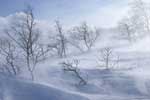 Красивый зимний пейзаж картинки бесплатно